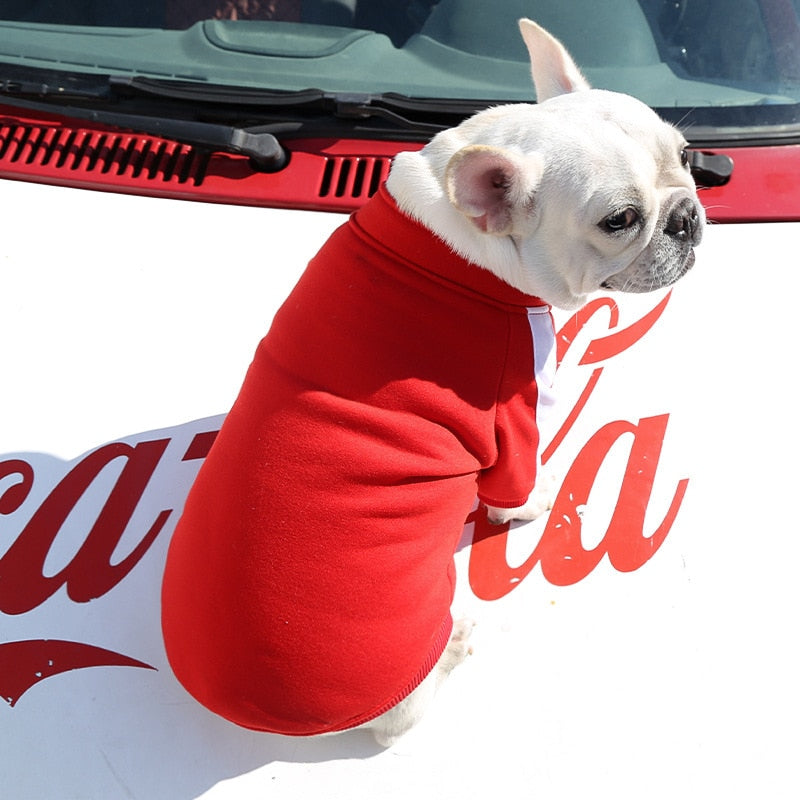 Cozy Canine - Jaqueta de Inverno Para Cachorros Pequenos e Médio porte