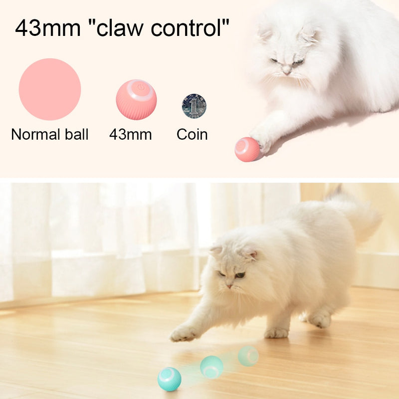 SMART BALL - Bola automática para Interação de Pets